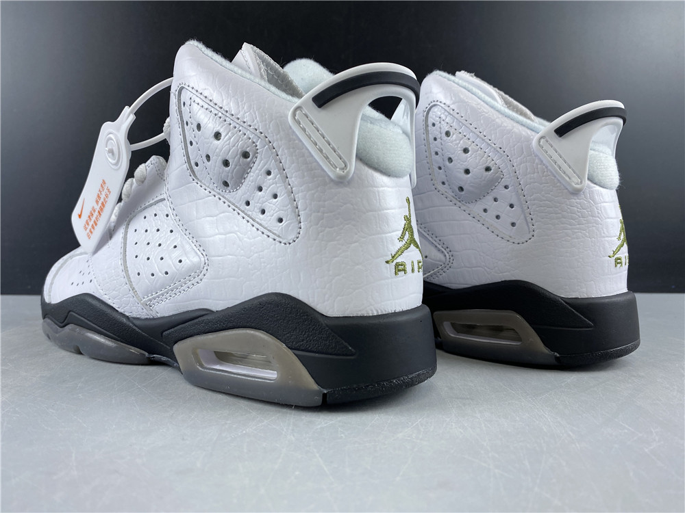 Air Jordan 6 GS 384665-110
