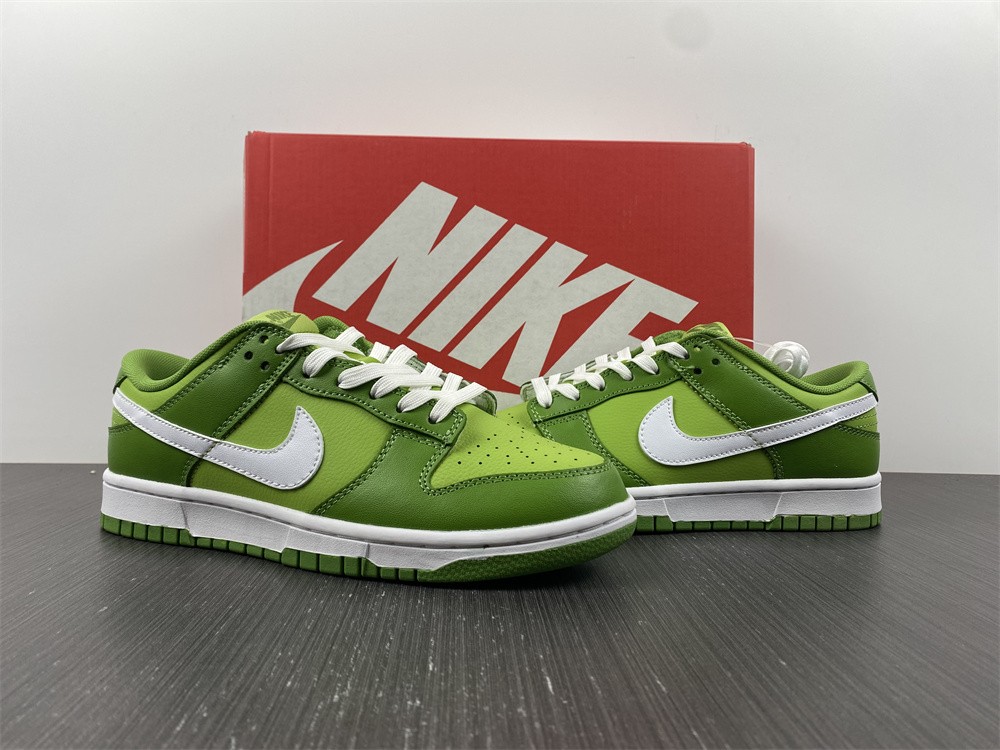 from NIKE DUNK LOW DJ6188-300