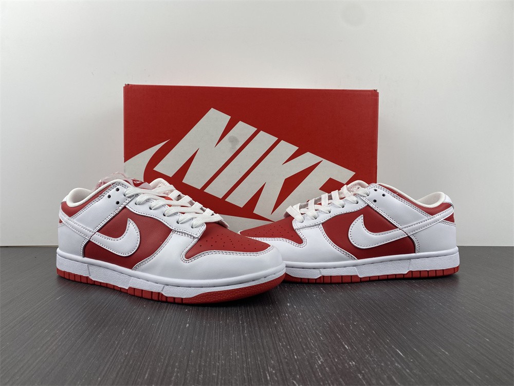 from NIKE DUNK LOW RETRO DD1391-600