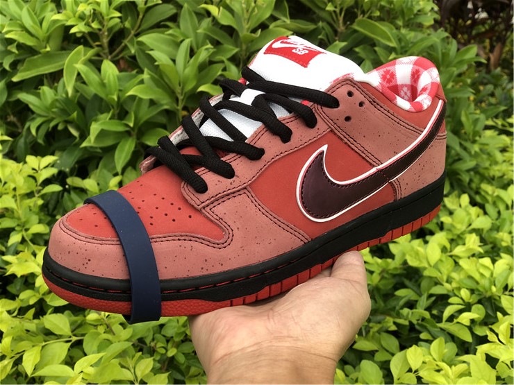from Nike SB Dunk Low Sb Lobster 313170-661