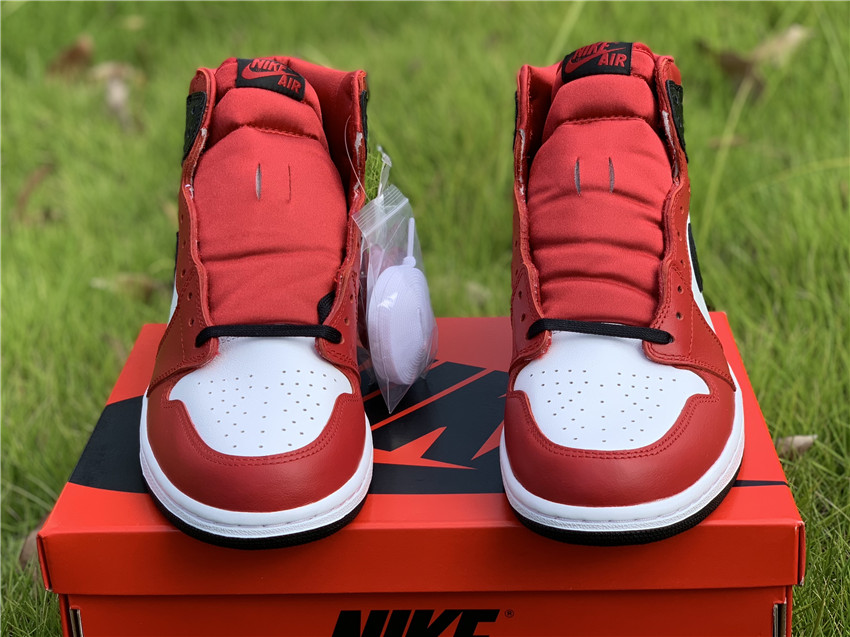 Air Jordan 1 WMNS “Satin Snake” CD0461-601