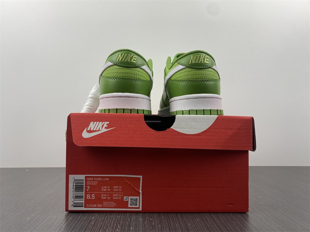 from NIKE DUNK LOW DJ6188-300