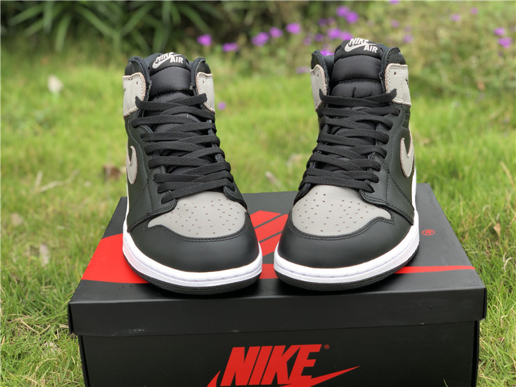 Air Jordan 1 “Shadow”