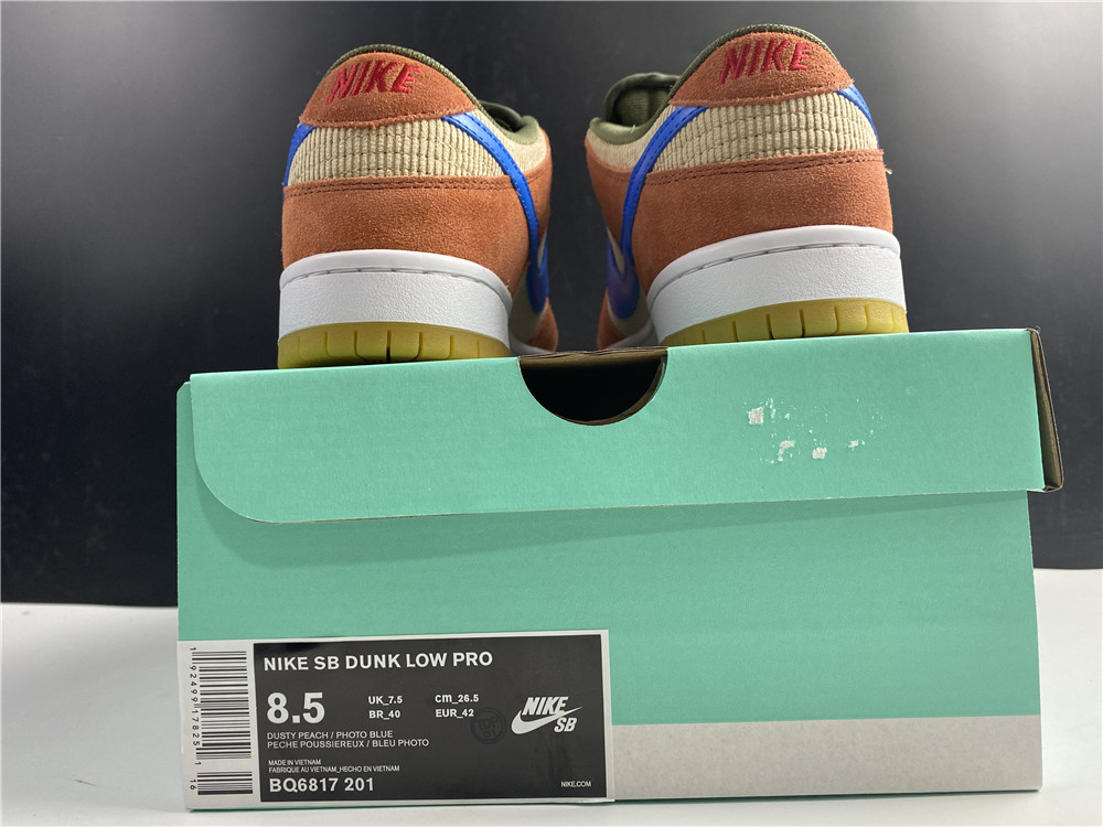 from Nike SB Dunk Low Pro SB BQ6817-201