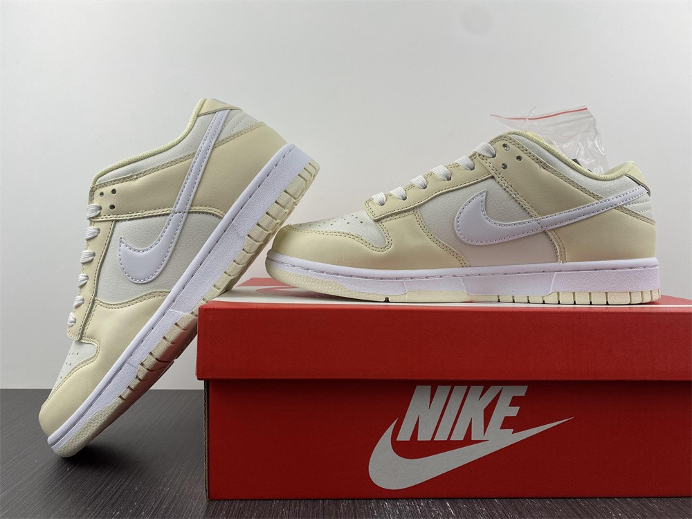 from SB Dunk Low DJ6188-100