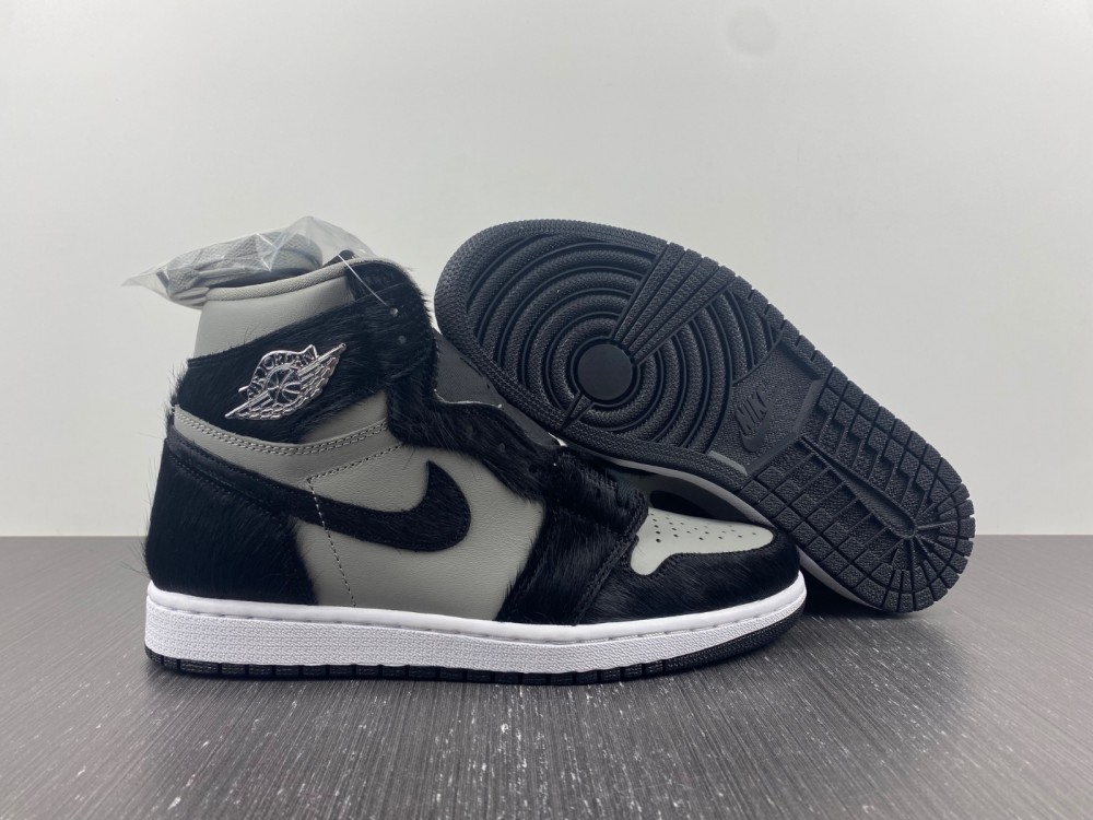 Air Jordan 1