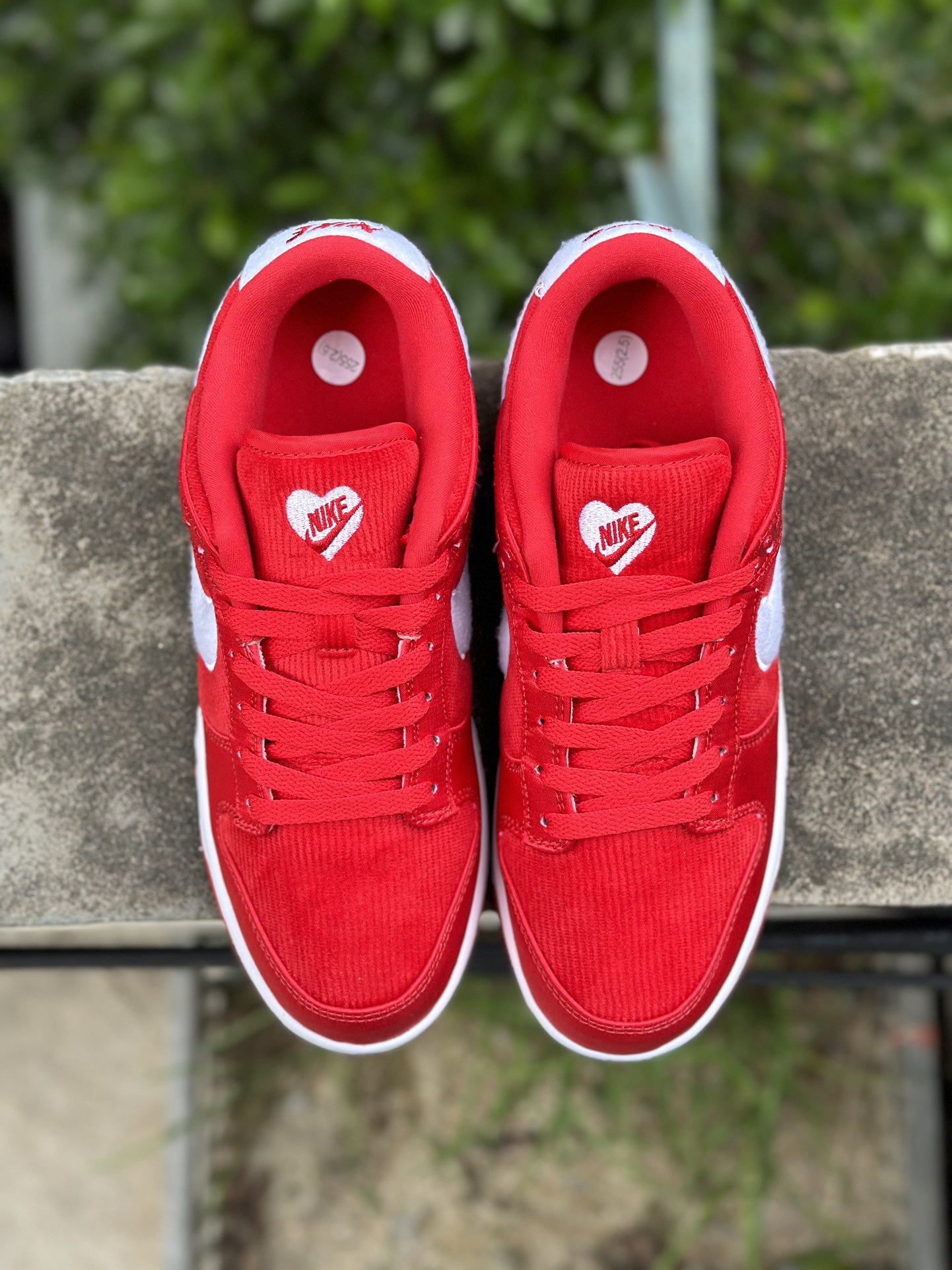 Women Nike SB Dunk Low