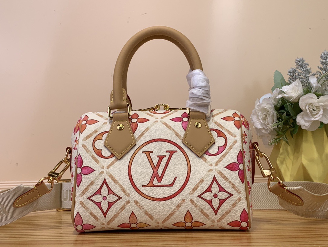 L*ouis V*uitton Top Bag